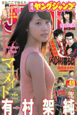 炽道26全集免费观看